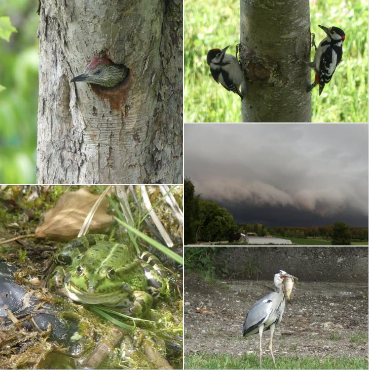 Impressionen