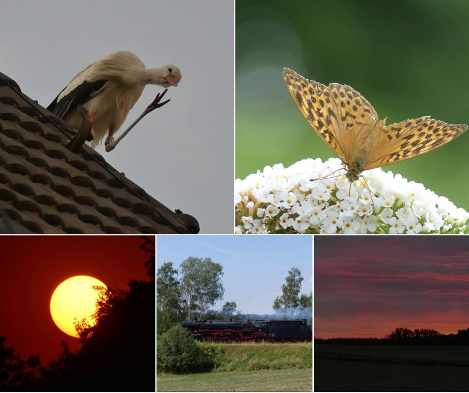 Bilder des Monats von Br Wunibald